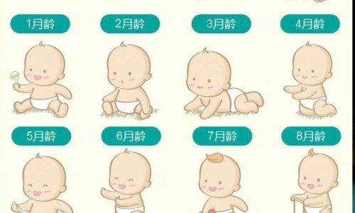 【皮肤软膏中药配方】皮肤科外用中药软膏大全 - 肤皮中药乳膏网